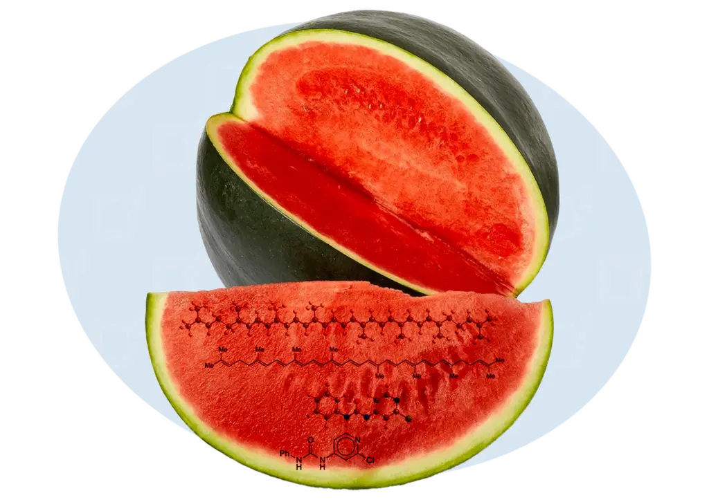 БЛОГ0101.png БЛОГ0101.png