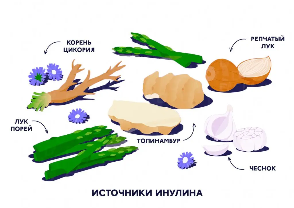 топ-2.jpg