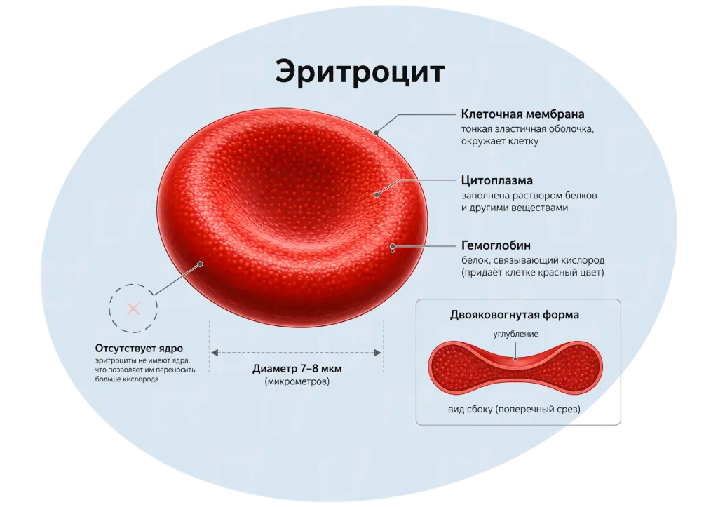БЛОГ-05-02.png БЛОГ-05-02.png
