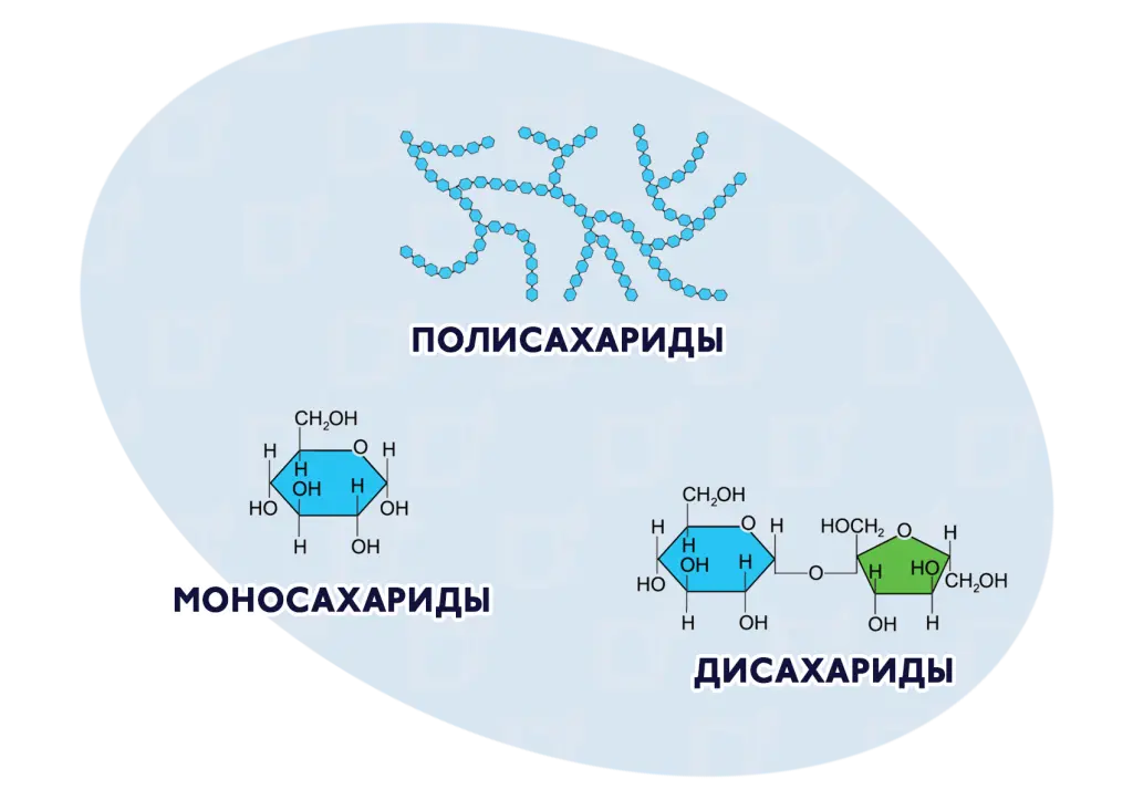 БЛОГ-2.png БЛОГ-2.png