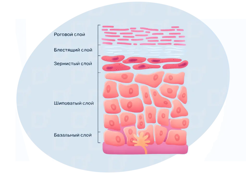 БЛОГ-05-01.png